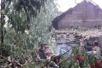 Sejumlah bangunan rusak tertimpa pohon tumbang di Kediri