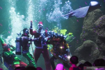 Serunya perayaan Natal dalam air di Seaworld
