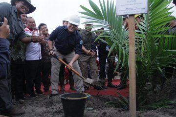 Peremajaan kebun sawit di Musi Banyuasin capai 12.238 hektare