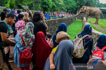 Pengelola sebar info penutupan Taman Margasatwa Ragunan melalui medsos