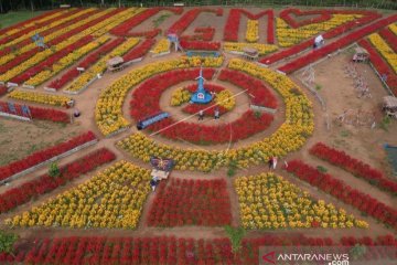 WISATA TAMAN BUNGA DHARMASRAYA