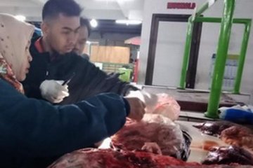 Tim gabungan Kota Magelang musnahkan daging tak layak konsumsi