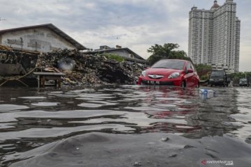 Kerja sama pencegahan banjir, Jepang akan kirim staf ke Indonesia