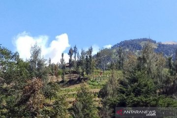 BNTGMB tutup pendakian Merbabu malam pergantian tahun