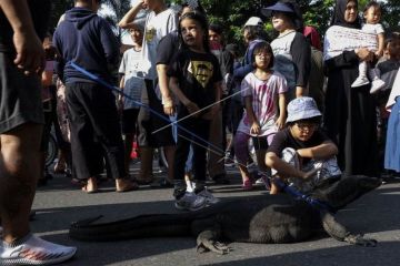 Komunitas pecinta reptil