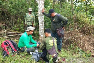 LSM bantu kamera trap pantau harimau di Sumsel