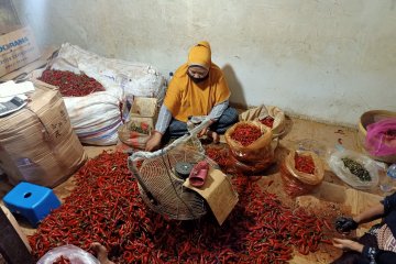 Pasar Induk Kramat Jati sediakan 233 ton  bawang dan cabai