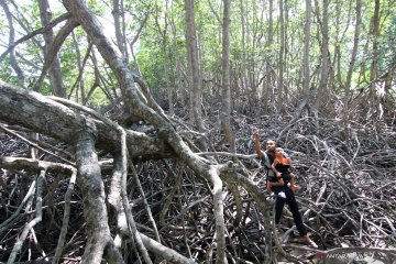 Wisata di taman nasional Baluran