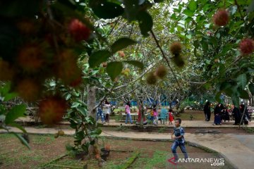 Wisata kebun Gowa