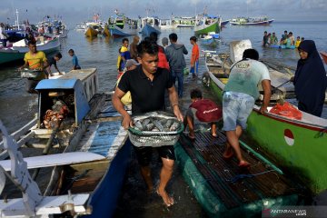 Sulawesi Utara ekspor ikan beku ke Amerika