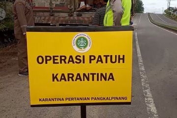 Balai karantina jaring ratusan kilo daging bebek dan tumbuhan tanpa dokumen