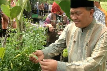Tekan laju inflasi dengan program Kampung Berkebun