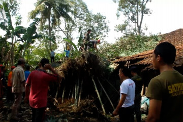 Warga Jember gotong royong atasi dampak puting beliung