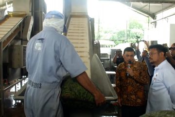 Mentan dorong upaya mengenjot produksi edamame