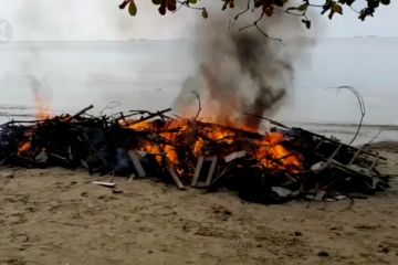 Membusuk di pantai Balikpapan, paus raksasa akhirnya dibakar