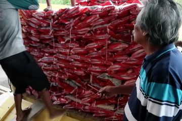 Stok pangan Bangka Belitung aman