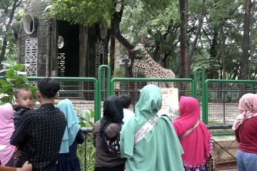 Taman Margasatwa Ragunan, pilihan favorit saat libur Natal