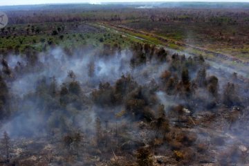 2019, Lahan terbakar seluas 942.485 hektare