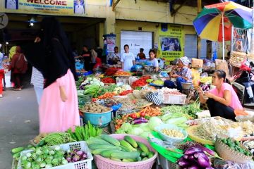 Mentan pastikan stok pangan aman hingga tahun depan