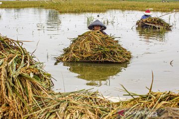 Sejumlah warga Karawang digigit ular di lokasi banjir