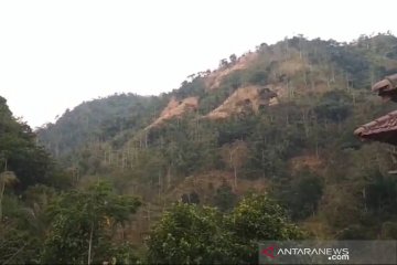 Kurangi banjir, kabupaten-kota di Jateng diminta galakkan penghijauan