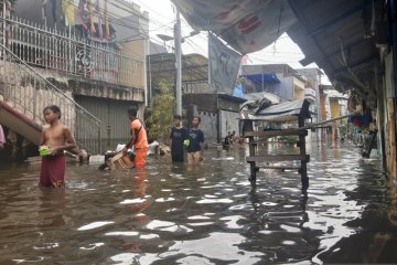 Banjir yang merendam Teluk Gong belum surut