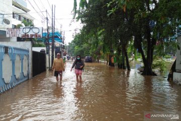 Komisi XI DPR sesalkan banjir di tengah prestasi rendahnya inflasi