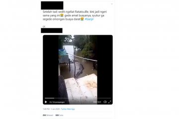 Video buaya masuk permukiman warga saat banjir, ini penjelasannya