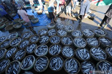 Negara pengimpor hasil laut Indonesia minta ketertelusuran asal ikan