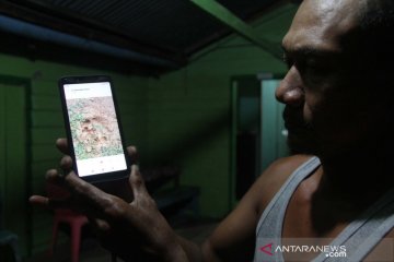 Info kemunculan harimau di Pelalawan hoaks karena foto editan