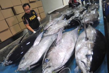 Sumbar ekspor 20 ton ikan tuna beku ke Amerika