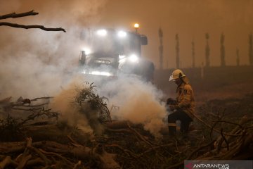 Hujan sedikit meredakan krisis kebakaran hutan di Australia