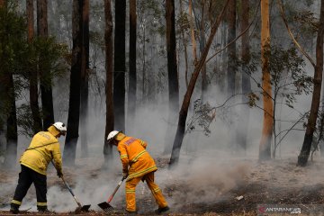 Gelombang panas di Australia picu kebakaran semak dekat Adelaide