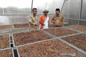 Produksi biji kopi dari Rejang Lebong alami peningkatan