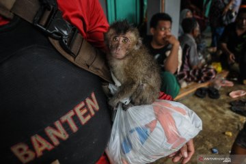 Korban longsor terisolir butuh bantuan