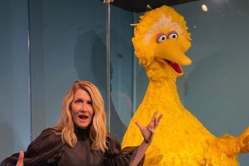 Laura Dern aktris pendukung terbaik Golden Globe 2020