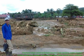 245 hektare sawah di Lebak terdampak banjir bandang