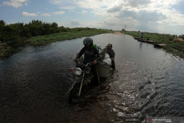 Banjir luapan sungai Batanghari