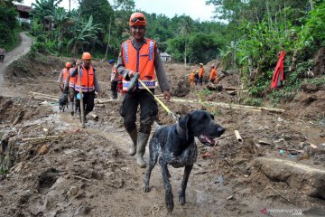 Korban tanah longsor Sukajaya belum ditemukan