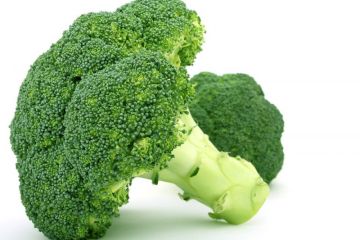 Manfaat brokoli bagi penderita diabetes dan cara mengolahnya