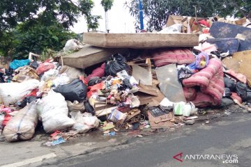 Kemarin, polisi tanam pohon hingga jaksa Novel Baswedan