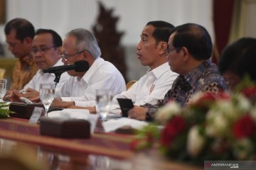 "Vetiver" dipilih Jokowi cegah banjir di kawasan hulu