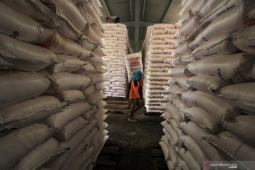 Pupuk Indonesia siap penuhi alokasi pupuk bersubsidi 9,1 juta ton