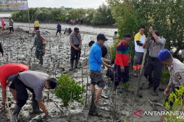 Cagar Alam Tanjung Panjang ditanami mangrove BKSDA Sulut-Gorontalo