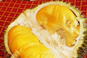 Pecinta durian : Kualitas durian Banjar bersaing dengan durian Asia