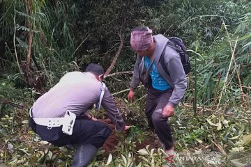 Konservasi air, polisi-petani tanam beringin di lereng Gunung Sumbing
