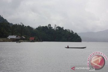 Lokasi burung migrasi di Danau Lindu bakal jadi objek wisata baru