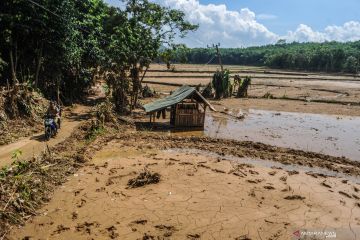 SAWAH RUSAK DITERJANG BANJIR BANDANG