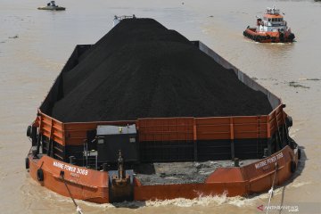 Harga naik, ekspor batu bara ke China tak terpengaruh Virus Corona