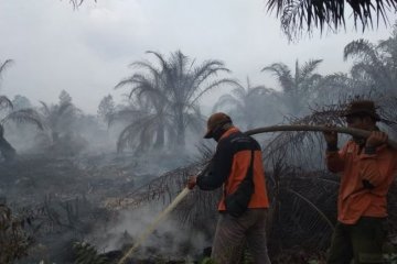Karhutla Riau jerat sembilan tersangka